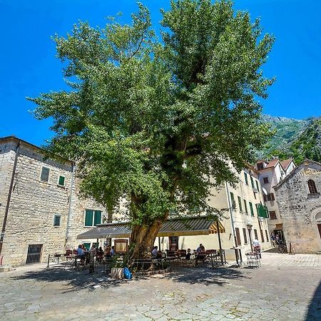 Tajami Apartments Kotor Dış mekan fotoğraf