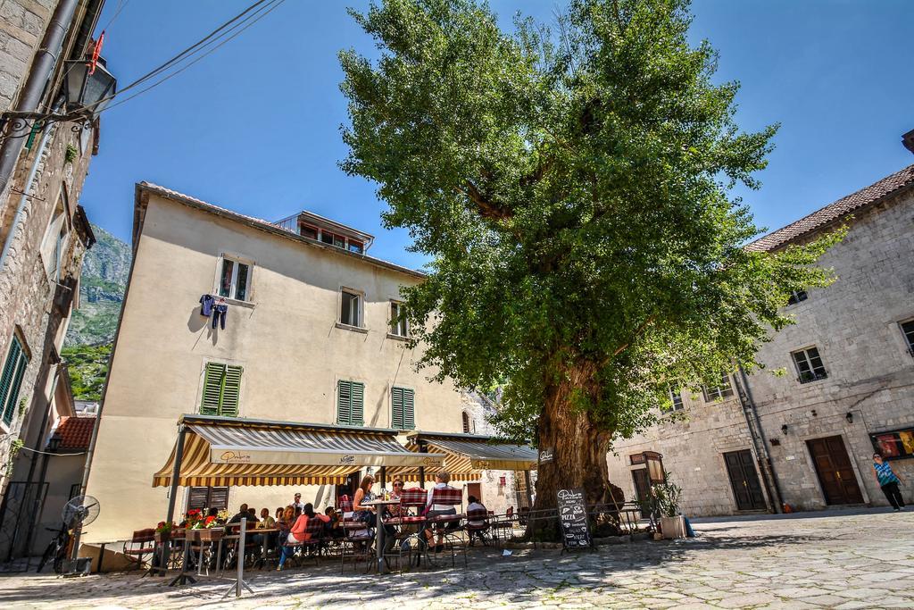 Tajami Apartments Kotor Dış mekan fotoğraf